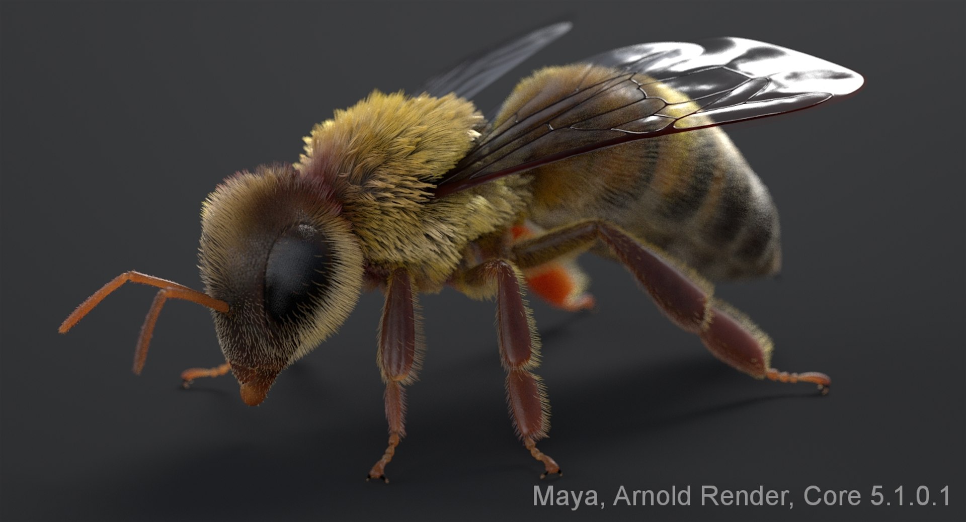 3D realistic bee real https://p.turbosquid.com/ts-thumb/b0/UQO5ub/u8cneYsh/beemayaarnold_01/jpg/1547647235/1920x1080/fit_q87/5da3de8838a88b63f81b0b9639e9174bd6ddda73/beemayaarnold_01.jpg