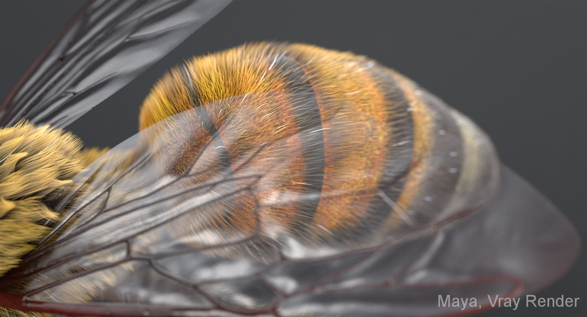 3D realistic bee real https://p.turbosquid.com/ts-thumb/b0/UQO5ub/zY1qk5FH/beemayavraya_08/jpg/1547647228/1920x1080/fit_q87/f26f23f8c1b7b48d8bca261f7fbf4faaee9c7afd/beemayavraya_08.jpg