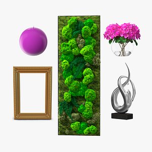 Home Decor Collection 3D model
