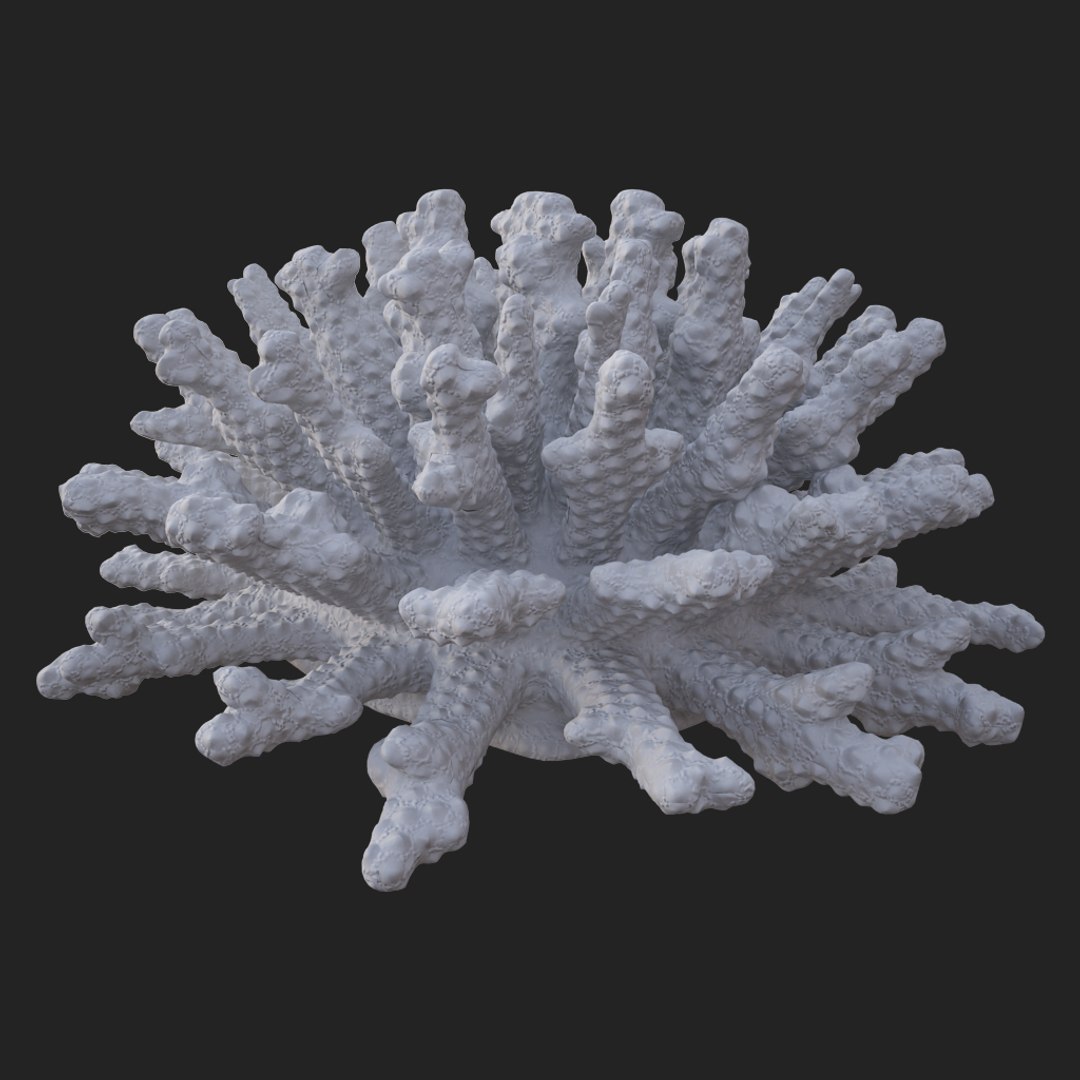 coral acropora v4 3D https://p.turbosquid.com/ts-thumb/b0/hiWJxL/53mMPMKC/019/jpg/1518186454/1920x1080/fit_q87/21e0f9f26cb737a5620e9df5b52b4ebcf8805210/019.jpg