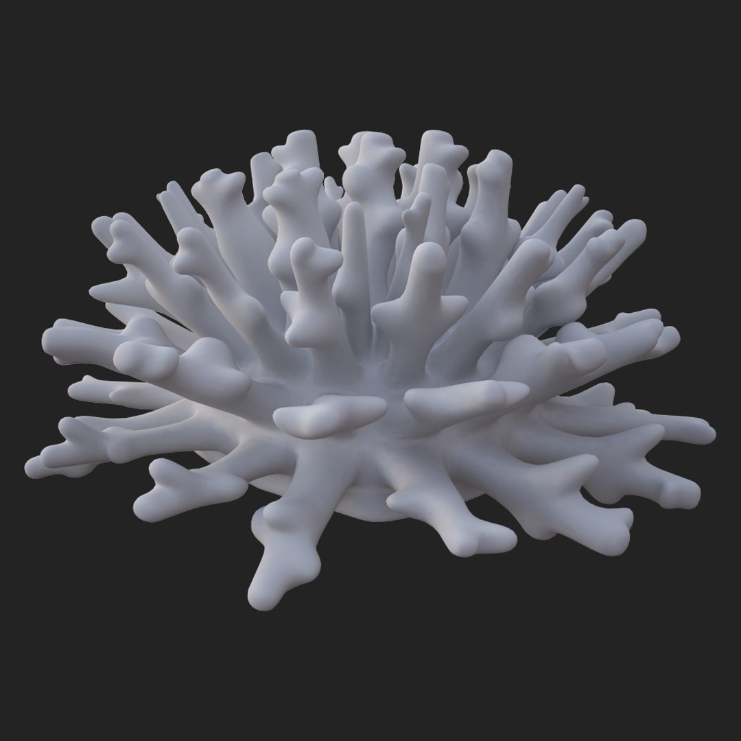 coral acropora v4 3D https://p.turbosquid.com/ts-thumb/b0/hiWJxL/6RT0B2G1/017/jpg/1518186454/1920x1080/fit_q87/1b76b6c171e890363abaf6a102ef80e90b8a1186/017.jpg