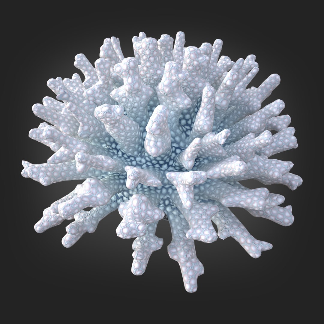 coral acropora v4 3D https://p.turbosquid.com/ts-thumb/b0/hiWJxL/T3ObliiN/011/jpg/1518186246/1920x1080/fit_q87/6000cf3dcf2459647a2e5e441cd52390ee7ae70f/011.jpg