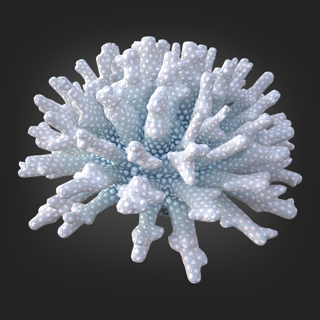 coral acropora v4 3D https://p.turbosquid.com/ts-thumb/b0/hiWJxL/X0yGNw25/010/jpg/1518186246/1920x1080/fit_q87/fbb243aff516bcf49c23adaa56e9b83b7a9ebf25/010.jpg