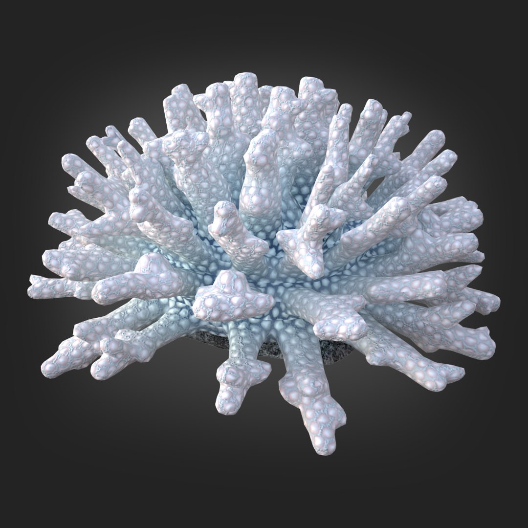 coral acropora v4 3D https://p.turbosquid.com/ts-thumb/b0/hiWJxL/a8FGjjzp/09/jpg/1518186245/1920x1080/fit_q87/0eab0f09135c81833a7bd3f6189d8fbad6e649f8/09.jpg
