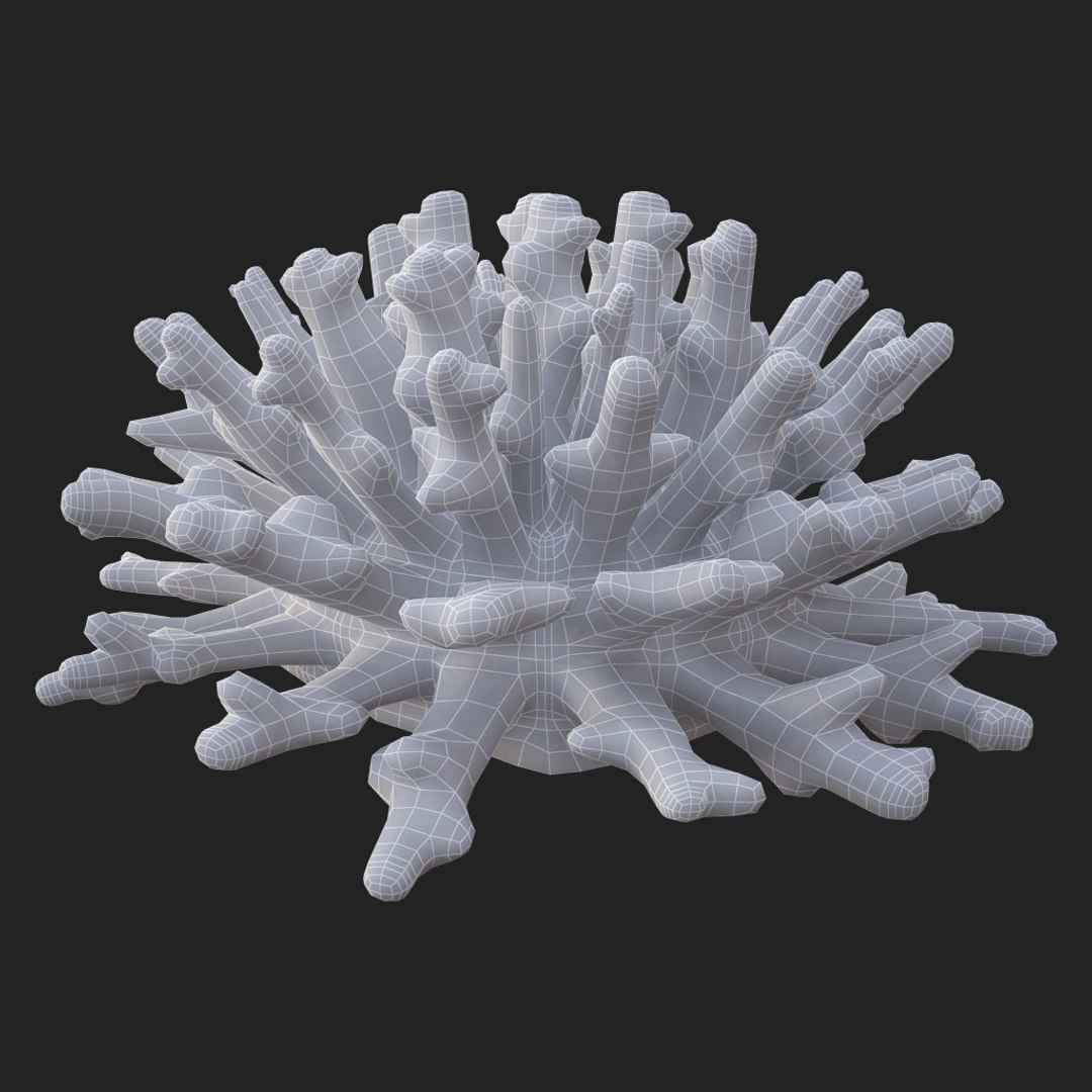 coral acropora v4 3D https://p.turbosquid.com/ts-thumb/b0/hiWJxL/aX3O2AsU/014/jpg/1518186246/1920x1080/fit_q87/c7350f3fb417b44b57bd5859b7a19e7b7da52383/014.jpg