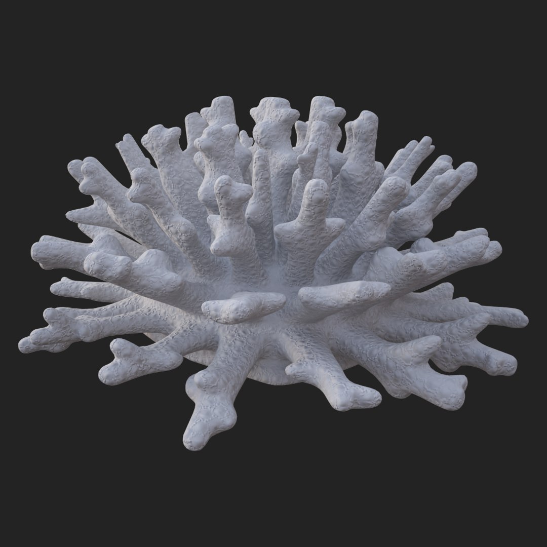 coral acropora v4 3D https://p.turbosquid.com/ts-thumb/b0/hiWJxL/fPvHslyc/018/jpg/1518186454/1920x1080/fit_q87/0ae091d5dd7a6c28c2d03a28a3371b3f1b852cb0/018.jpg