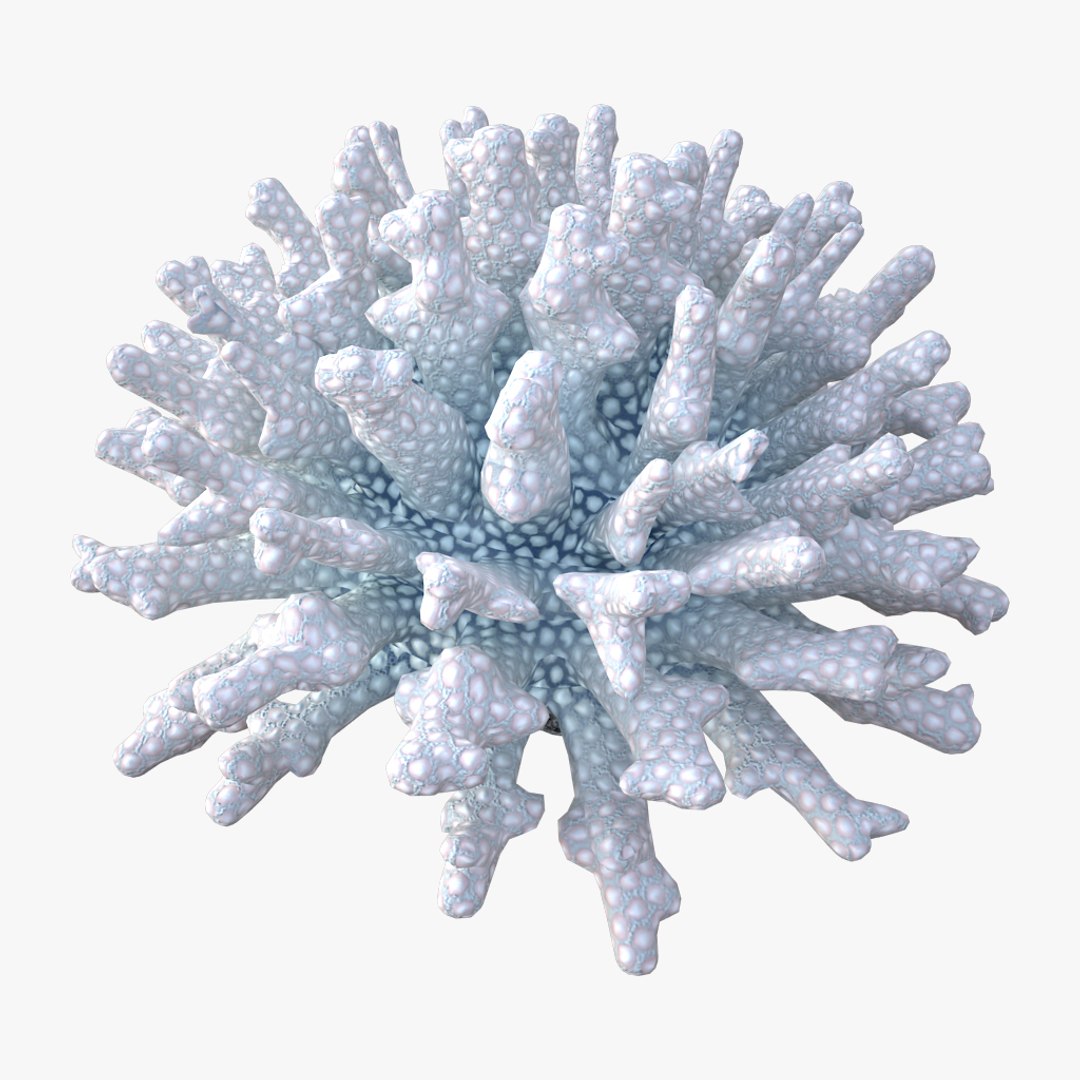 coral acropora v4 3D https://p.turbosquid.com/ts-thumb/b0/hiWJxL/mfShJUuW/05/jpg/1518186245/1920x1080/fit_q87/f45a95af66e62ce8f6ba3e8201f118cdd3991c1d/05.jpg