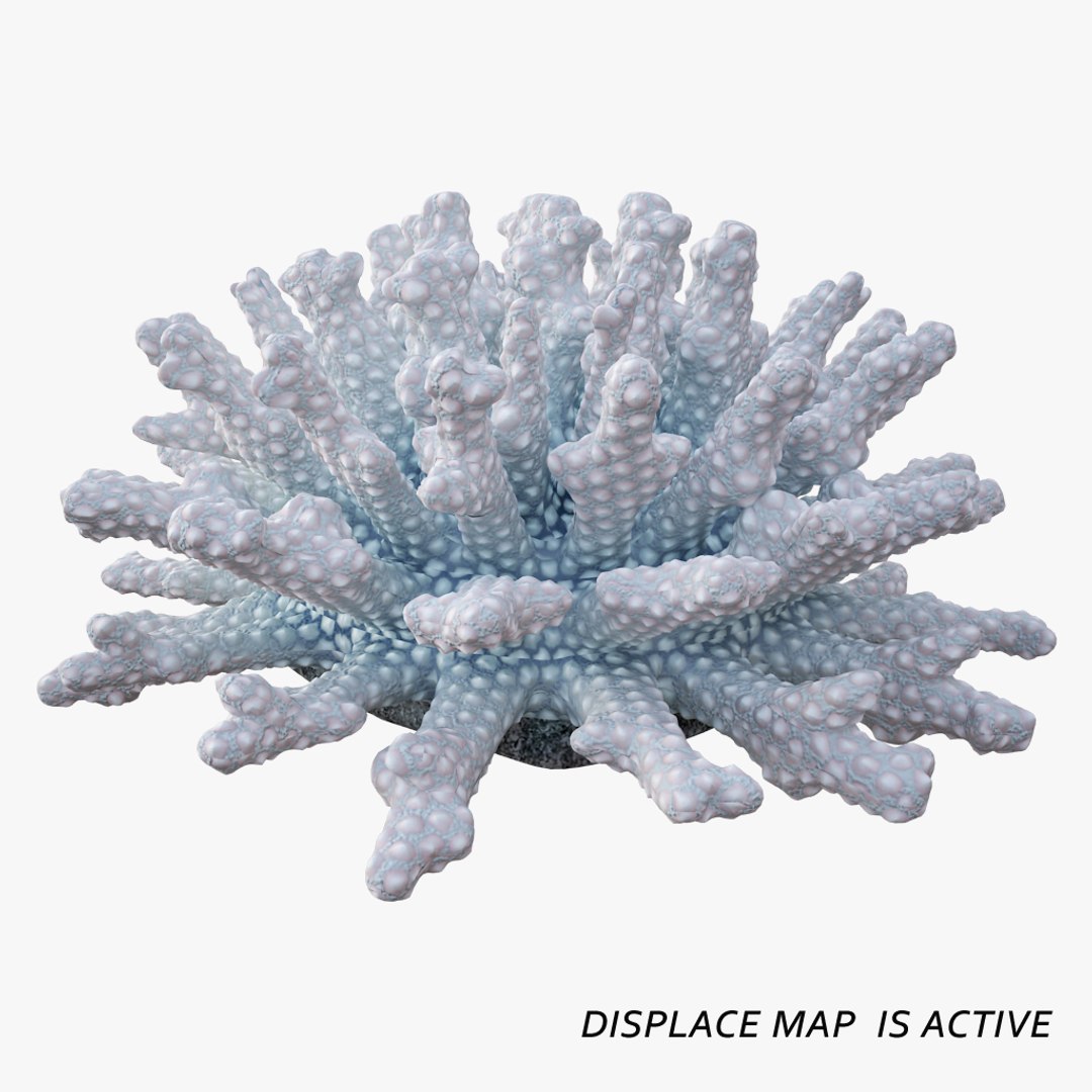 coral acropora v4 3D https://p.turbosquid.com/ts-thumb/b0/hiWJxL/tnc6oMZq/012/jpg/1518186246/1920x1080/fit_q87/98f1431d891d6f7a16cd7b987bb6ca311a20e962/012.jpg