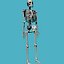 bones skeleton 3d model