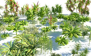 Ecosystems Jurassic Plants Animated