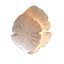 Koket Passion Sconce