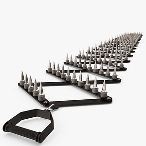 Police Spike