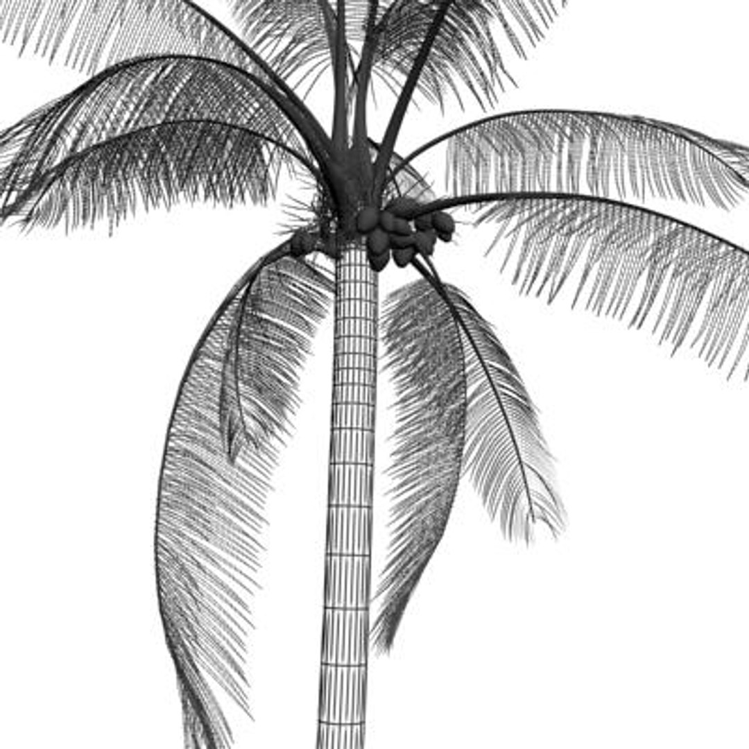 coconut 3d model https://p.turbosquid.com/ts-thumb/b1/no4VOB/QC3qLd0q/gfh/jpg/1220858434/1920x1080/fit_q87/fab94a4546dbe2f3b377519f6bc3bec5cfc36653/gfh.jpg