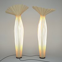 Aqua Creations Zika