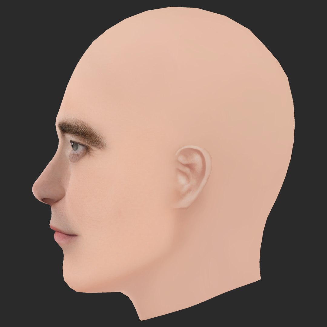 Low Poly Robert Pattinson Head 3D model https://p.turbosquid.com/ts-thumb/b1/wiP0HE/Cm/03/png/1785638548/1920x1080/fit_q87/0ff56ec3823413482a750f486149ef68329d1695/03.jpg