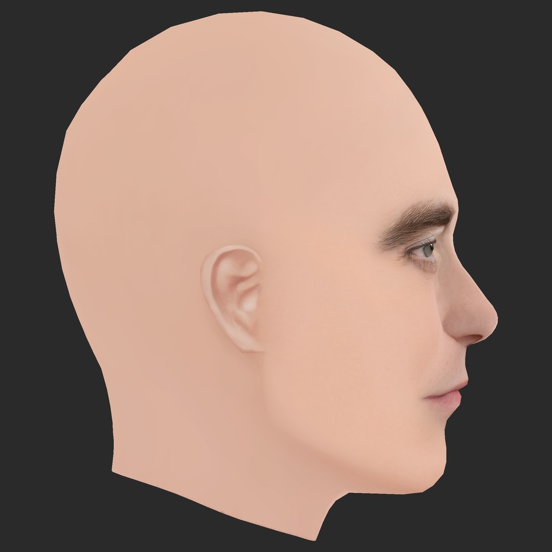 Low Poly Robert Pattinson Head 3D model https://p.turbosquid.com/ts-thumb/b1/wiP0HE/qx/06/png/1785638550/1920x1080/fit_q87/4697c1908cff6f3d774169410cf3931819a041d7/06.jpg