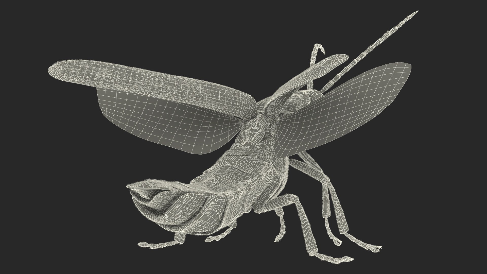 3D Glowing Eastern Firefly Standing Pose Fur model https://p.turbosquid.com/ts-thumb/b2/A8qKId/pr/glowingeasternfireflystandingposefurc4dmodel025/jpg/1703845524/1920x1080/fit_q87/41cae88daf9007a02cfe40e81e63a060657f2b21/glowingeasternfireflystandingposefurc4dmodel025.jpg