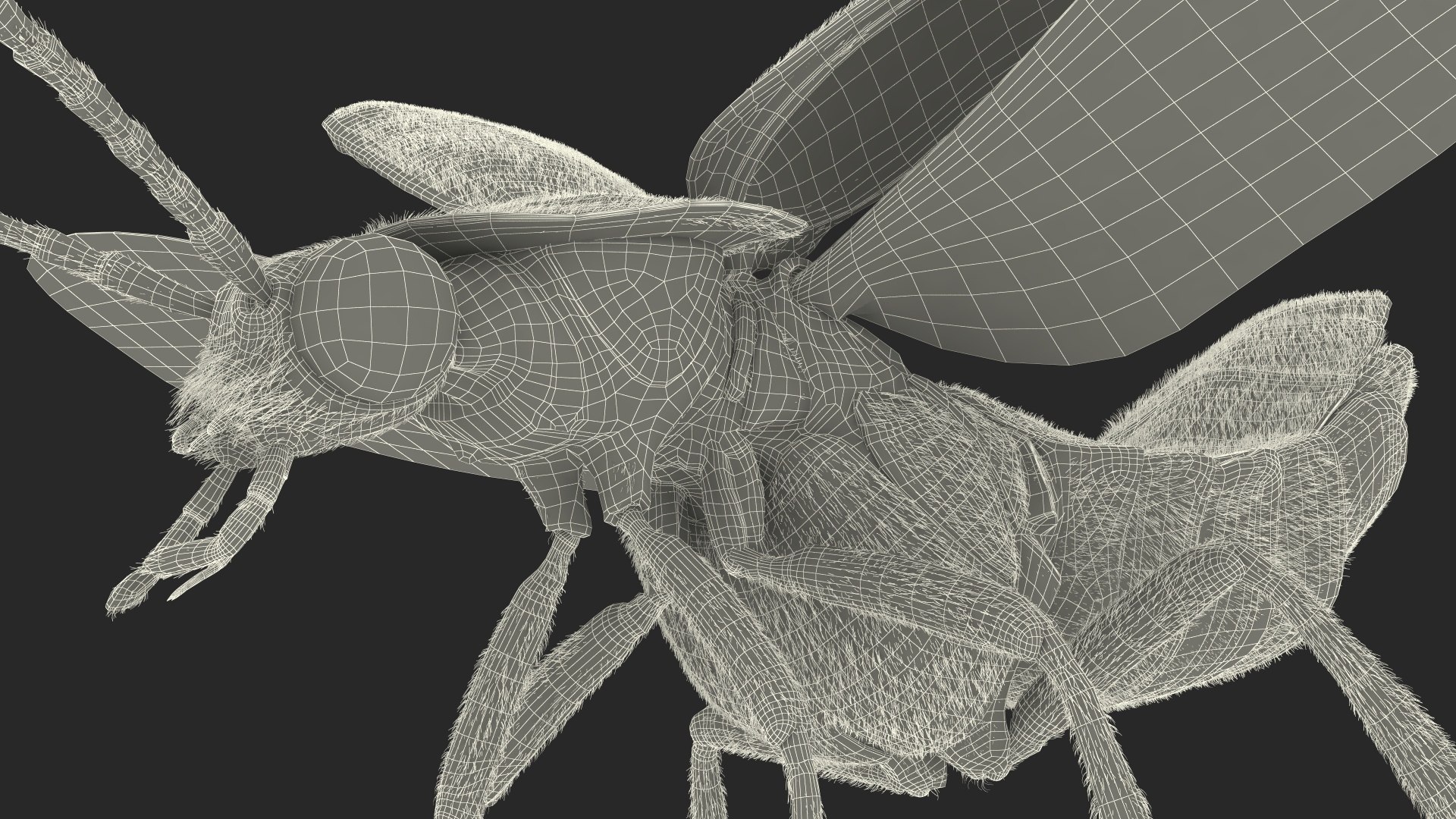 3D Glowing Eastern Firefly Standing Pose Fur model https://p.turbosquid.com/ts-thumb/b2/A8qKId/tS/glowing_eastern_firefly_standing_pose_fur_030/jpg/1703854148/1920x1080/fit_q87/da66c19c6fb379292a704754fb3f532267046ced/glowing_eastern_firefly_standing_pose_fur_030.jpg