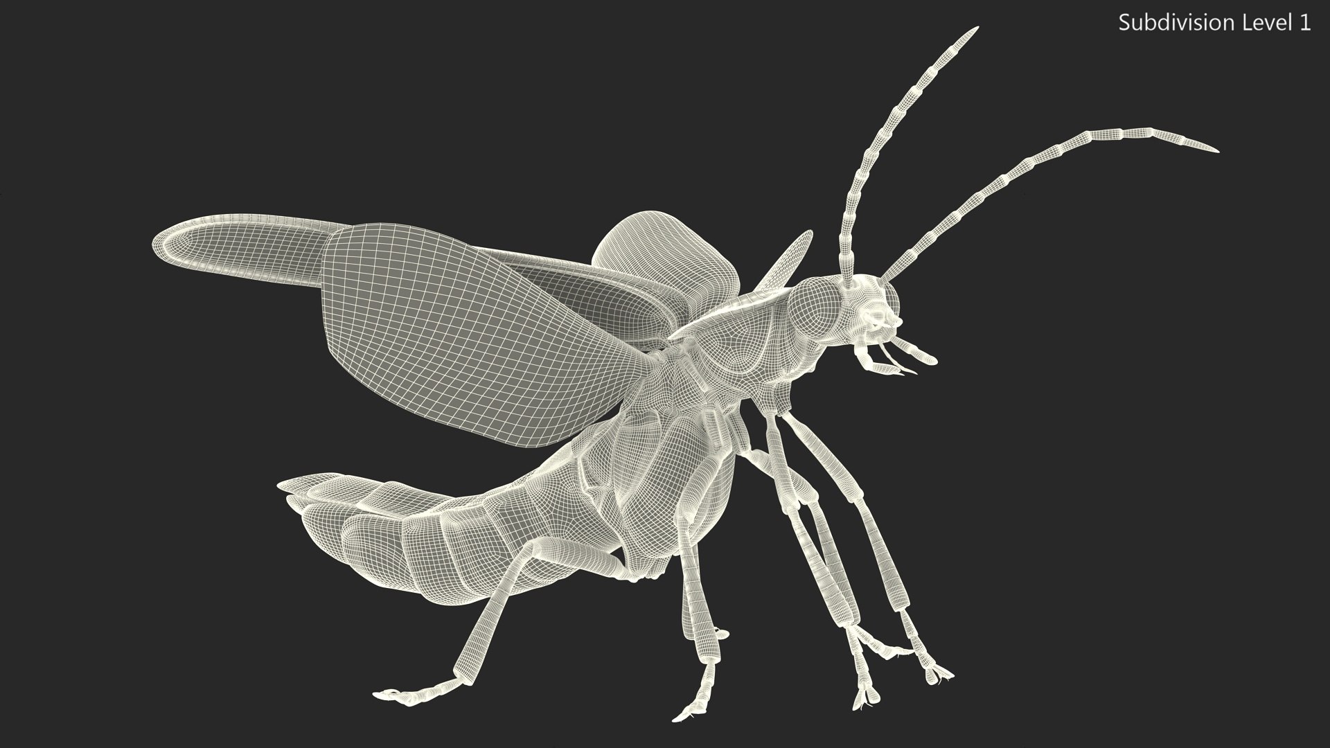 3D Glowing Eastern Firefly Standing Pose Fur model https://p.turbosquid.com/ts-thumb/b2/A8qKId/uA/glowingeasternfireflystandingposefurc4dmodel020/jpg/1703845498/1920x1080/fit_q87/cb667071302b90a456821d1d143b8c9d72b1136e/glowingeasternfireflystandingposefurc4dmodel020.jpg