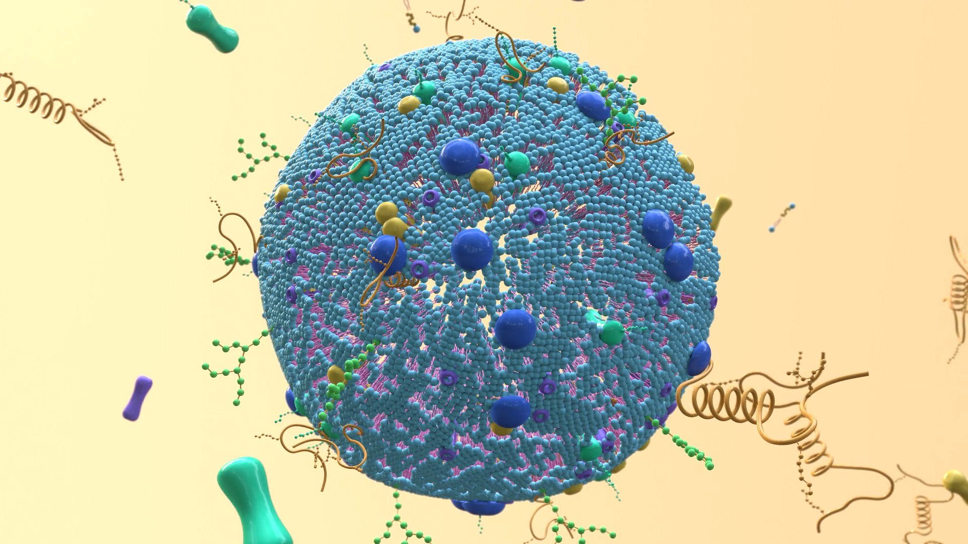 3D Cell membrane diagram model https://p.turbosquid.com/ts-thumb/b2/E5zam6/3H/img8/jpg/1692852977/1920x1080/fit_q87/28c3973f5ac0f600ee34deaa179a8b57961fabce/img8.jpg