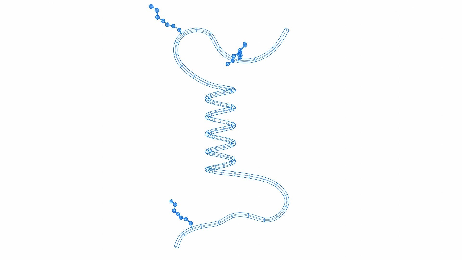 3D Cell membrane diagram model https://p.turbosquid.com/ts-thumb/b2/E5zam6/C7/wire1/jpg/1692852987/1920x1080/fit_q87/b015d427608e666915451e289fec05d1eb4e1aa8/wire1.jpg