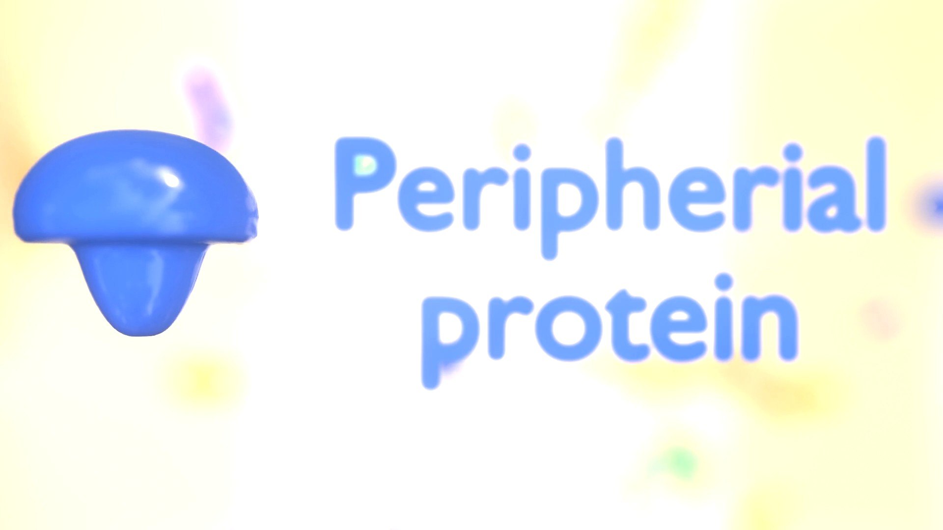 3D Cell membrane diagram model https://p.turbosquid.com/ts-thumb/b2/E5zam6/gd/img16/jpg/1692852980/1920x1080/fit_q87/61967404a99fd2a14ca79e49ac3311517d45d0e2/img16.jpg