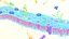 Cell membrane diagram