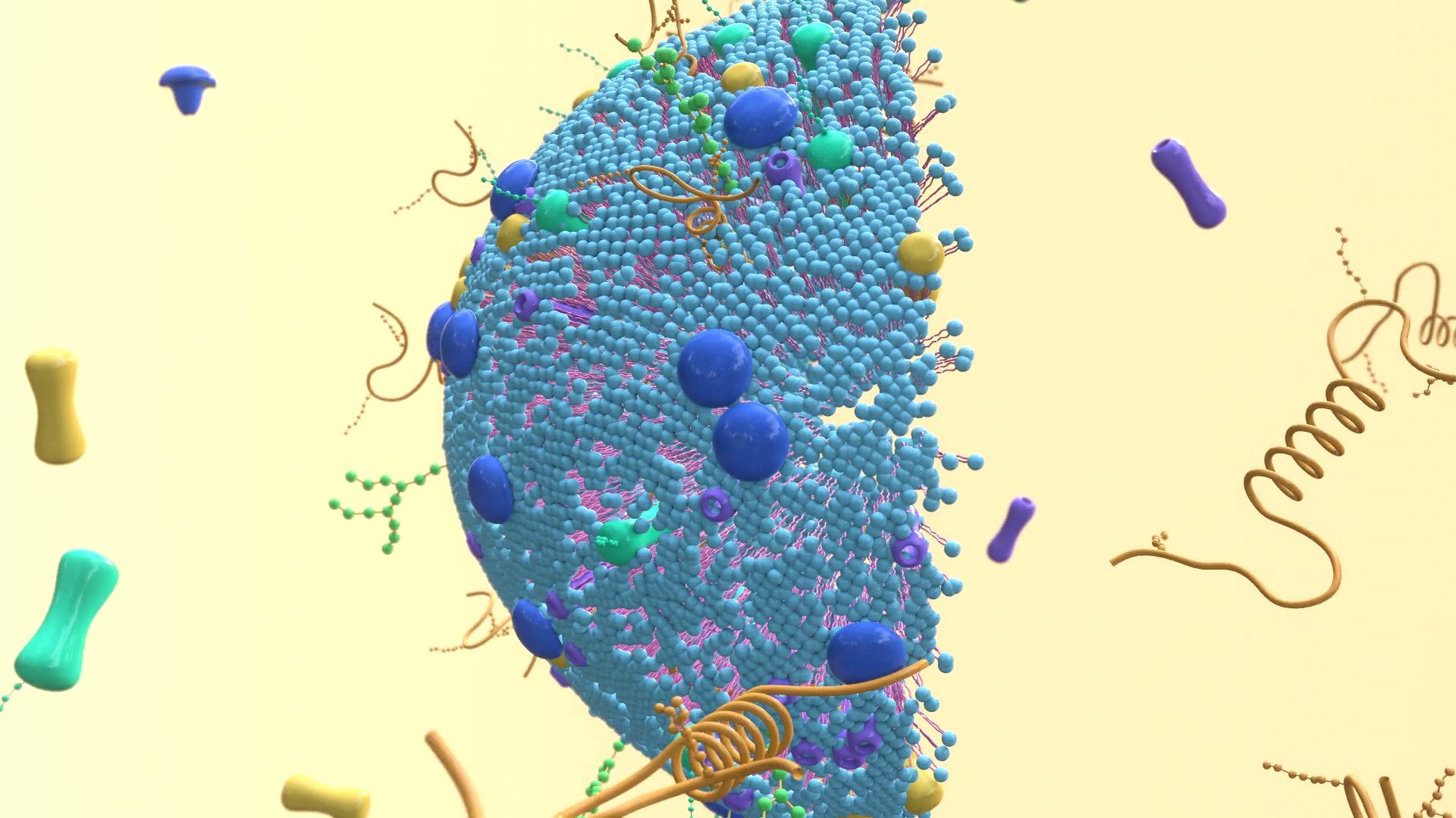 3D Cell membrane diagram model https://p.turbosquid.com/ts-thumb/b2/E5zam6/v5/img7/jpg/1692852976/1920x1080/fit_q87/e1abd175648f5e5cc56a71abb60f8699c1728ef2/img7.jpg