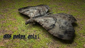 animations butterfly wings flying 3d model