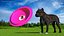 Frisbee Fetch Saucer Dog Toy 3D model