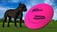 Frisbee Fetch Saucer Dog Toy 3D model