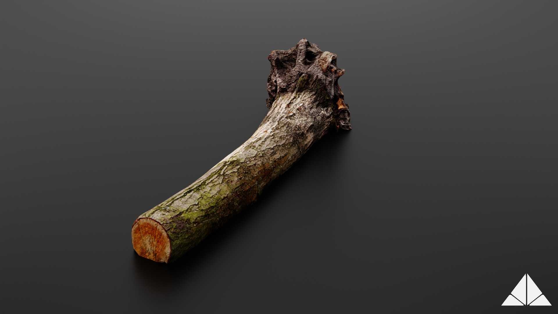 3D tree root - TurboSquid 1392464