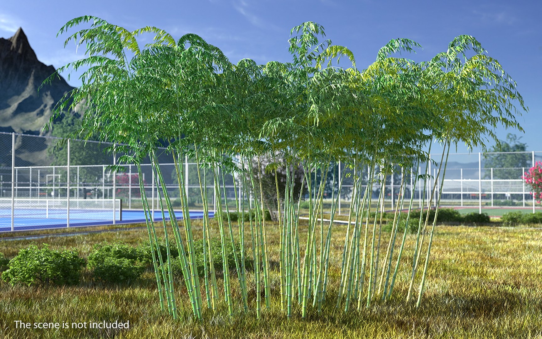 bamboo grove 3D model https://p.turbosquid.com/ts-thumb/b2/SDGPOC/4ASEKqOq/bamboogrovemb3dmodel002/jpg/1554962336/1920x1080/fit_q87/f9e659c20e0e32c13b4d2f130f1ea50c6b5ddc44/bamboogrovemb3dmodel002.jpg