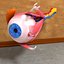 Human Eye Anatomy Muscles Organ Nerves
