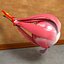Human Eye Anatomy Muscles Organ Nerves