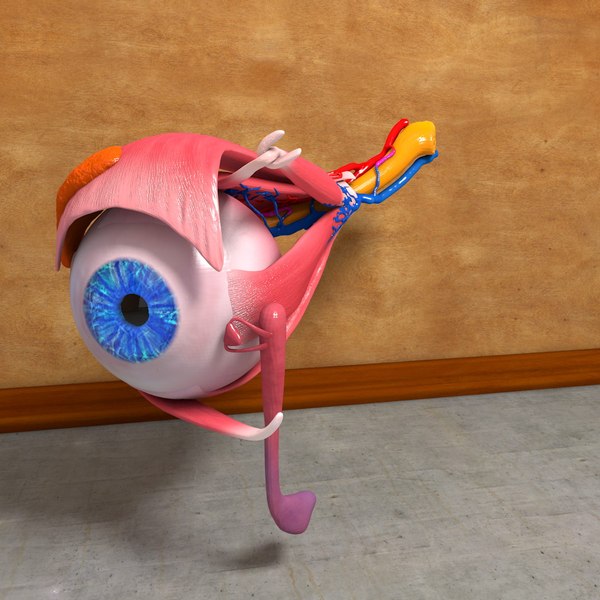 Retina Cinema 4D Models for Download | TurboSquid