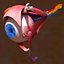 Human Eye Anatomy Muscles Organ Nerves
