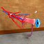 Human Eye Anatomy Muscles Organ Nerves