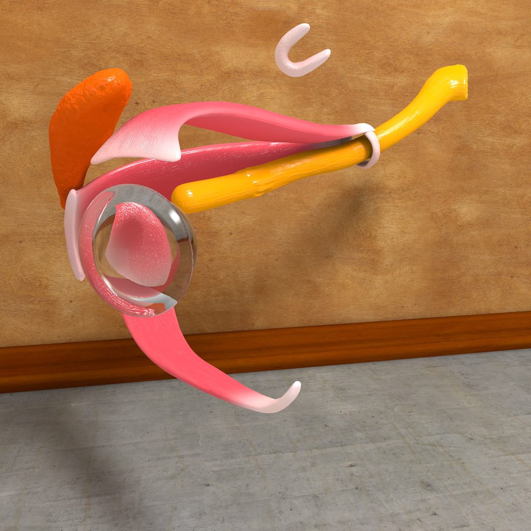 Human Eye 3d C4d