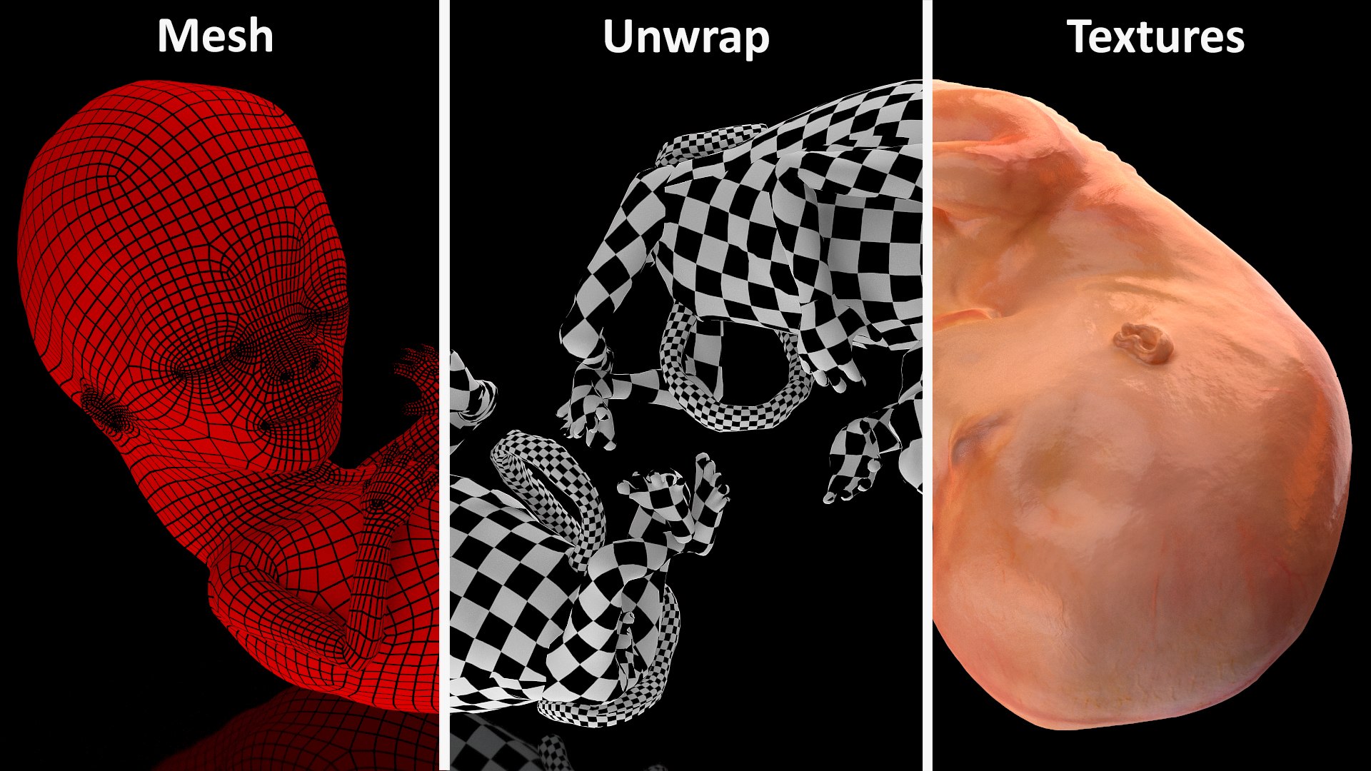 3D Human Fetus 12 Weeks Rigged for Maya model https://p.turbosquid.com/ts-thumb/b2/aRAUtP/Js/humanfetus12weeksrigged3dsmodel018/jpg/1606904093/1920x1080/fit_q87/54d3a815b9dc1e652c39faca6d686b082b9f2110/humanfetus12weeksrigged3dsmodel018.jpg