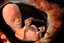 Human Fetus 12 Weeks Rigged for Maya