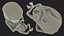 Human Fetus 12 Weeks Rigged for Maya