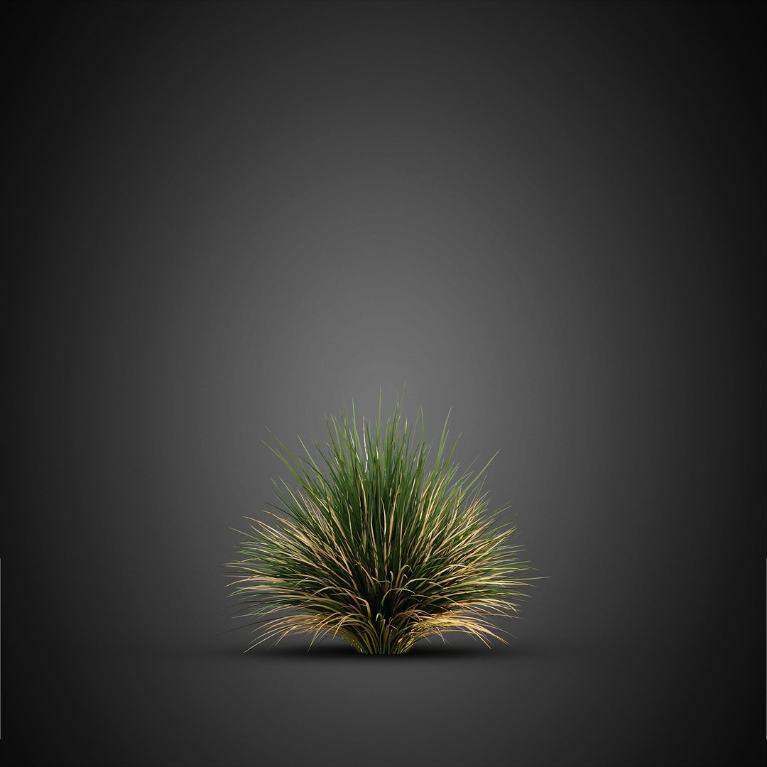 HeliosVegetation vol14 - BushesPlants 3D model https://p.turbosquid.com/ts-thumb/b2/eD64hx/4q/chvol14_07/jpg/1651512957/1920x1080/fit_q87/3cea6f7fd6082bf0ad47276d88b1926a85528f7a/chvol14_07.jpg