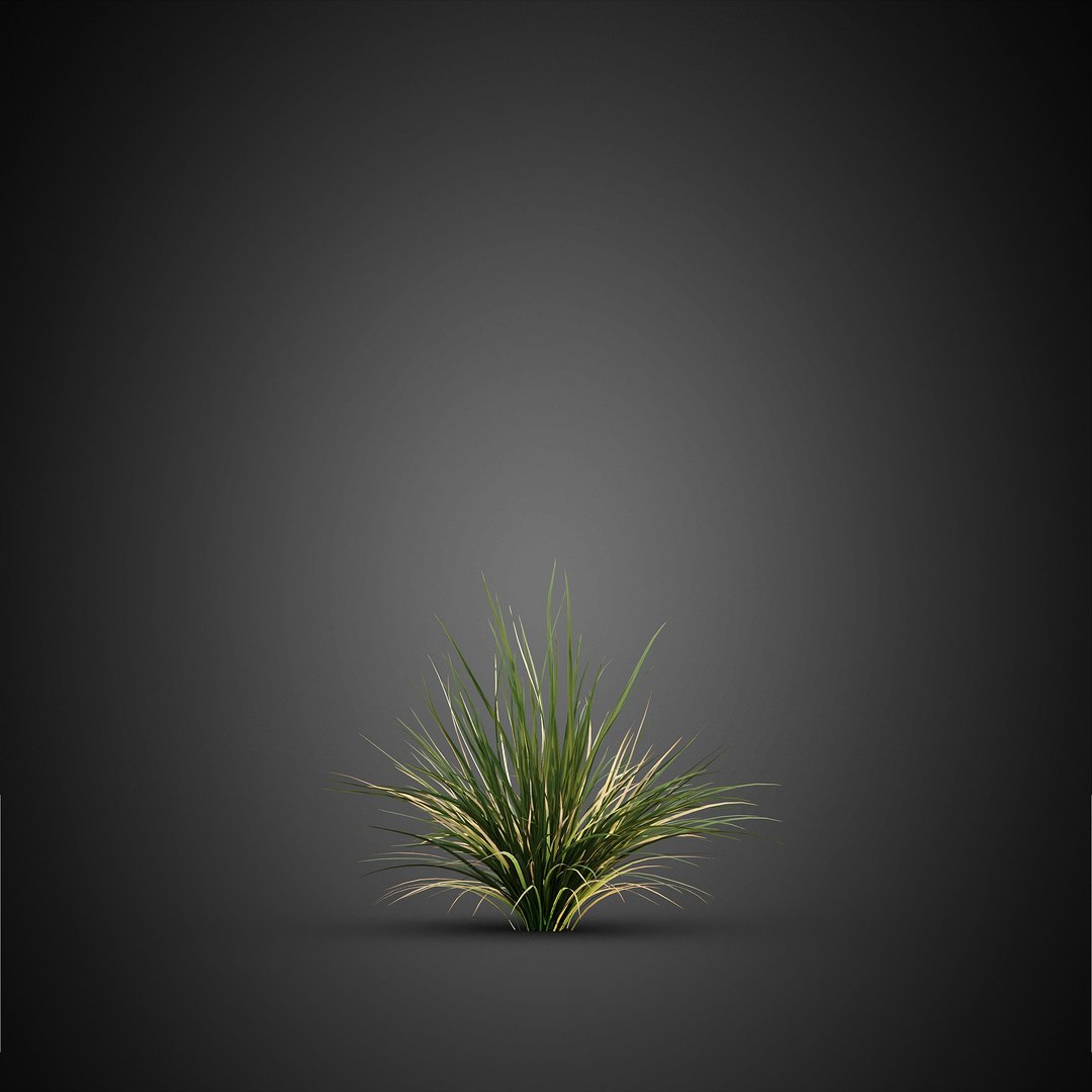 HeliosVegetation vol14 - BushesPlants 3D model https://p.turbosquid.com/ts-thumb/b2/eD64hx/Cs/chvol14_06/jpg/1651512956/1920x1080/fit_q87/fd7d7e2a92a01435840ea525f590d545fe12292d/chvol14_06.jpg