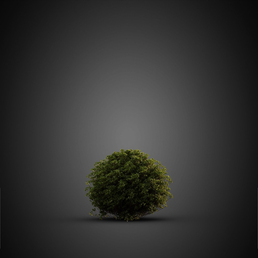 HeliosVegetation vol14 - BushesPlants 3D model https://p.turbosquid.com/ts-thumb/b2/eD64hx/E3/chvol14_14/jpg/1651512955/1920x1080/fit_q87/cf99060e86471ba80c50c467ec92aadeca427c2d/chvol14_14.jpg