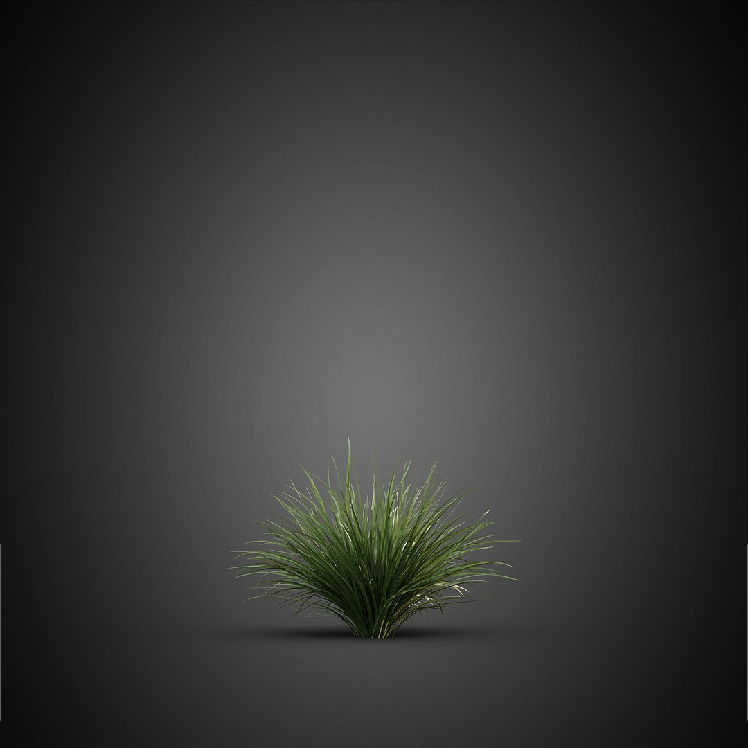 HeliosVegetation vol14 - BushesPlants 3D model https://p.turbosquid.com/ts-thumb/b2/eD64hx/KQ/chvol14_05/jpg/1651512951/1920x1080/fit_q87/993cf4470df1bad7602d5eddc123f41b965bc18c/chvol14_05.jpg