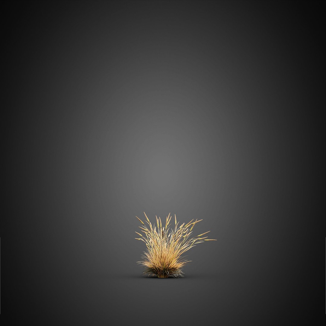 HeliosVegetation vol14 - BushesPlants 3D model https://p.turbosquid.com/ts-thumb/b2/eD64hx/NV/chvol14_11/jpg/1651512964/1920x1080/fit_q87/286fb9d360db9ea35855bee4026994b15d5bf35d/chvol14_11.jpg