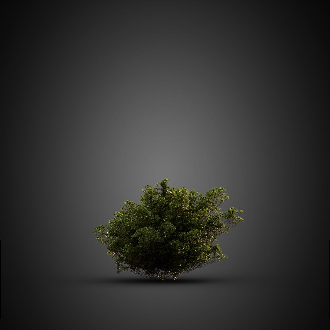 HeliosVegetation vol14 - BushesPlants 3D model https://p.turbosquid.com/ts-thumb/b2/eD64hx/Pa/chvol14_17/jpg/1651512957/1920x1080/fit_q87/963d03a8ff79b472bf759725a1474189d16c6354/chvol14_17.jpg