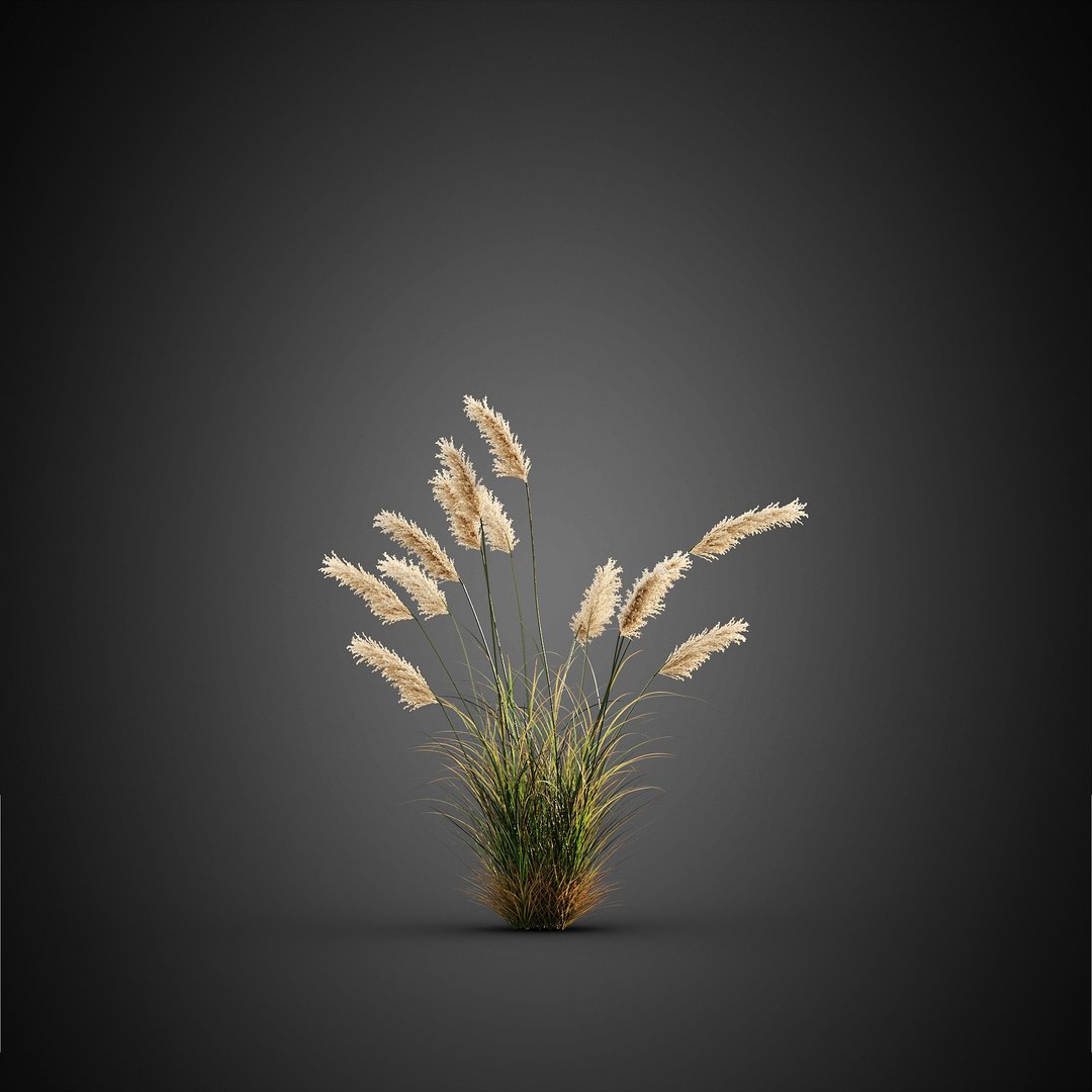HeliosVegetation vol14 - BushesPlants 3D model https://p.turbosquid.com/ts-thumb/b2/eD64hx/lU/chvol14_02/jpg/1651512949/1920x1080/fit_q87/0af7b49a4a60899bd076bb15707dec052440c351/chvol14_02.jpg