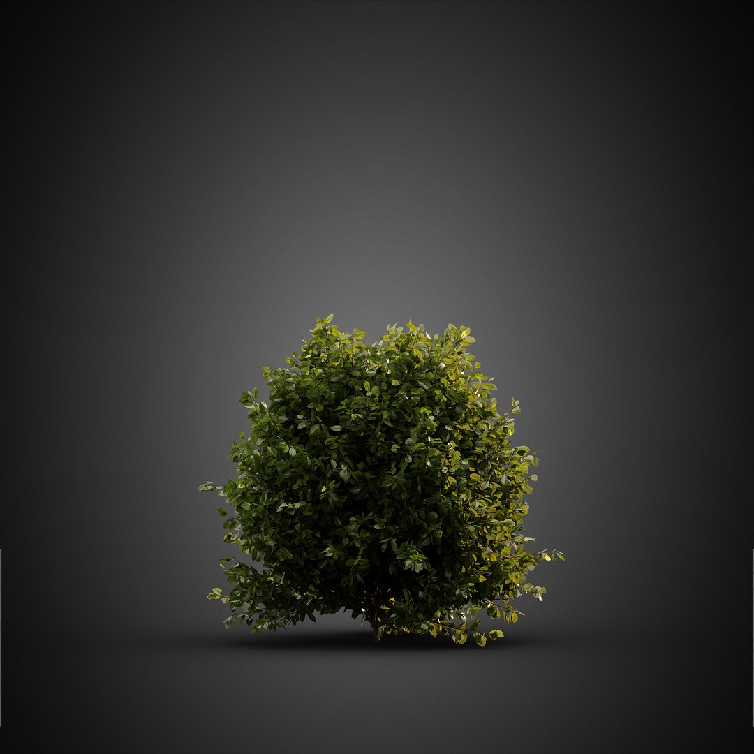 HeliosVegetation vol14 - BushesPlants 3D model https://p.turbosquid.com/ts-thumb/b2/eD64hx/pM/chvol14_18/jpg/1651512960/1920x1080/fit_q87/4d2fac05b560a7ccc74622d755f9ee7c7028b94b/chvol14_18.jpg